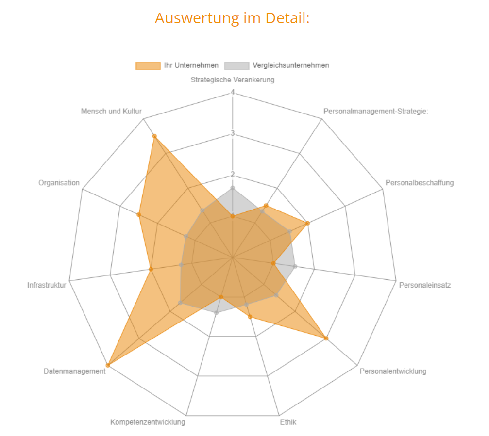 Das Bild zeigt ein Spinnennetzdiagramm als beispielhafte Ergebnisdarstellung des Checks.